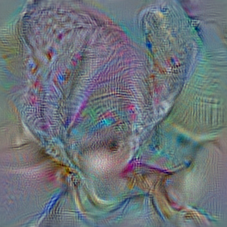 n02869837